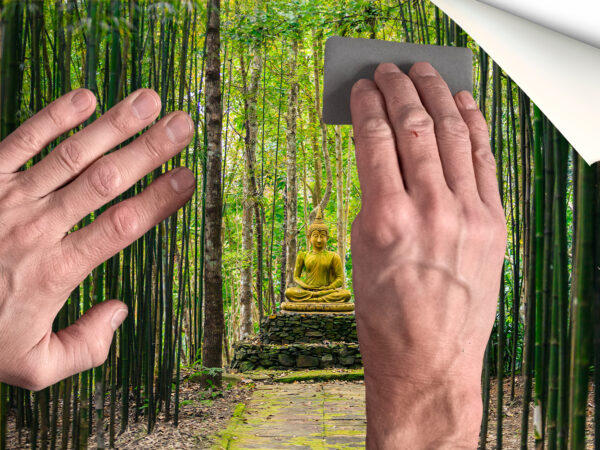 Fotomural Vinilo Buda en Bosque Bambú