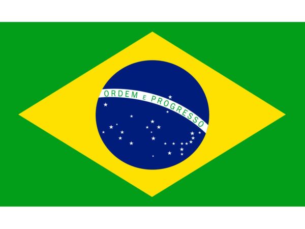 Oedim Bandera De Brasil 85x150cm, Reforzada Y Con Pespuntes, Bandera Con  2 Ojales Metálicos Y Resistente Al Agua con Ofertas en Carrefour
