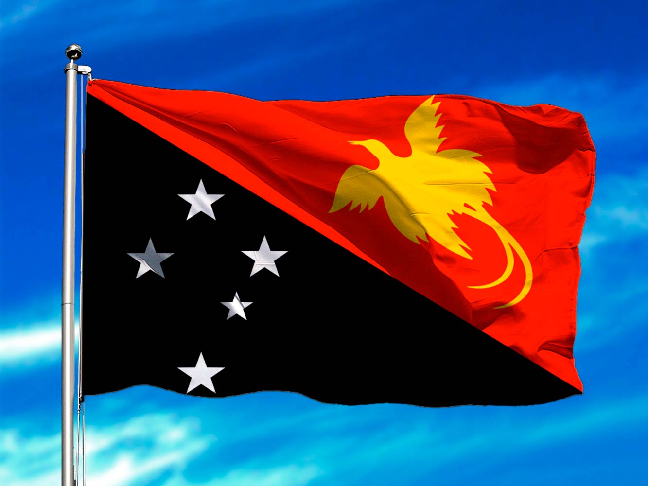 Bandera Personalizada De Papúa Nueva Guinea De 3x5 Pies, Alta