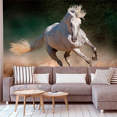 vinilos decorativos animales: caballo - Murales de pared